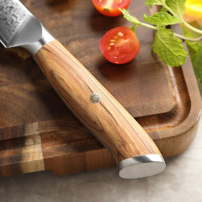 Damast Messer 5er Set Olive damastop.shop - Damastshop