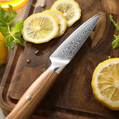 Damast Messer 7er Set Olive damastop.shop - Damastshop