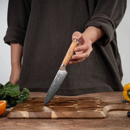 Damast Universalmesser Olive damastop.shop - Damastshop