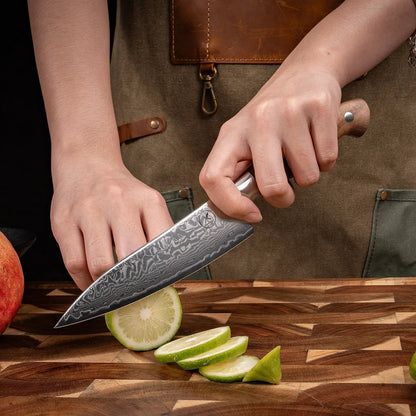 Premium Damast Universalmesser Walnuss damastop.shop - Damastshop
